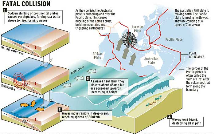 Cause of Tsunami