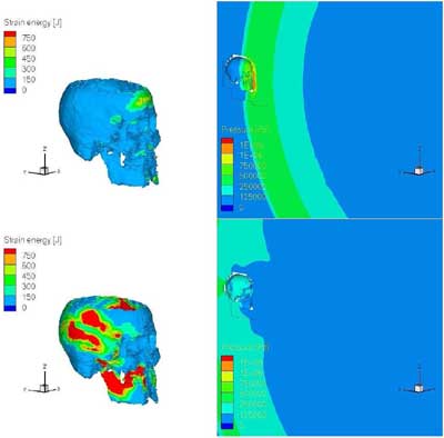 strain energy on cranium