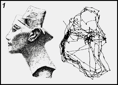 Bust of Nefertiti and saccade traces