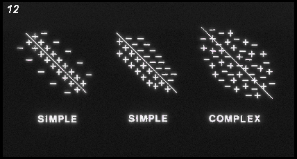 receptive fields of simple and complex cells