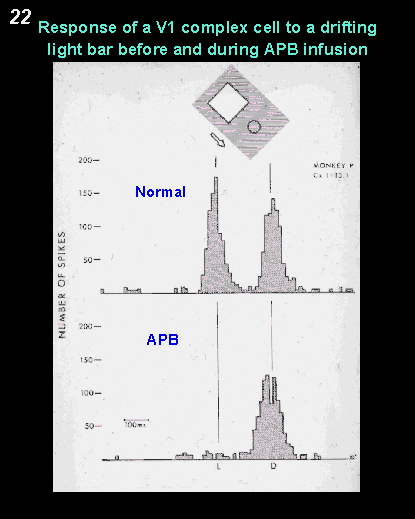 response of a V1 complex cell to a drifting light bar before and during APB infusion