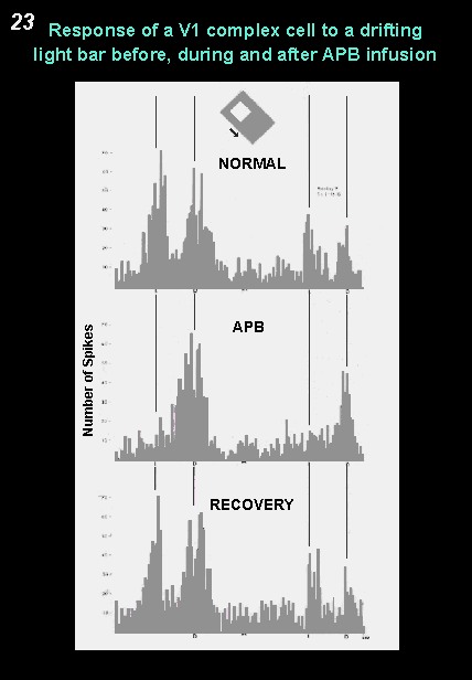 response of a V1 complex cell to a drifting light bar before, during and after APB infusion
