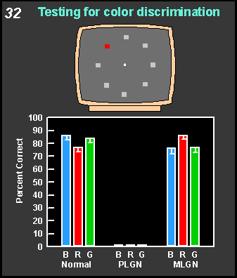 testing for color discrimination