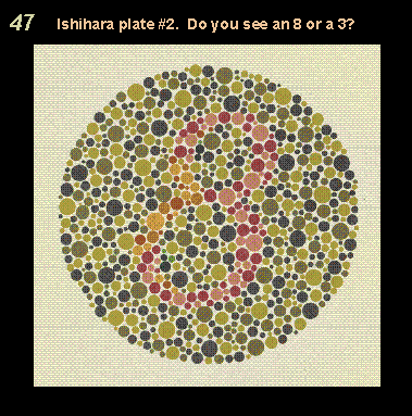 Ishihara plate number two