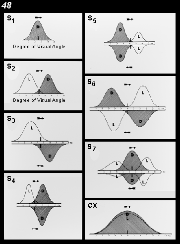 basic cell types in area V1