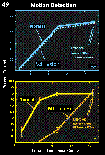 motion detection