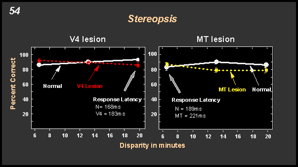 effects in stereopsis following V4 and MT lesions