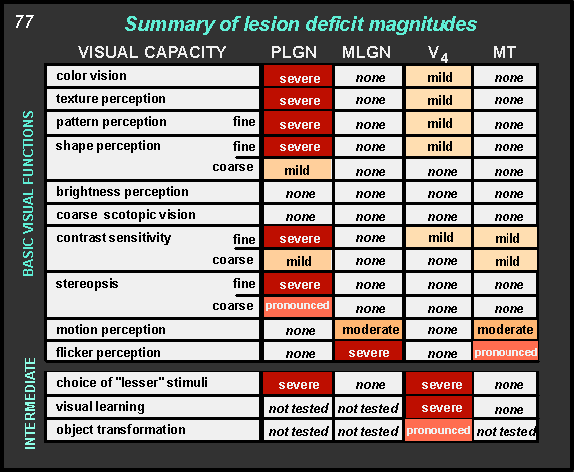 summary of lesion deficit magnitudes