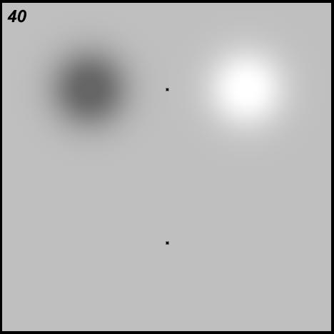 adaptation to gaussian stimulus