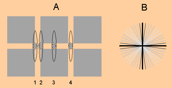 hermann grid illusion - S1 theroy