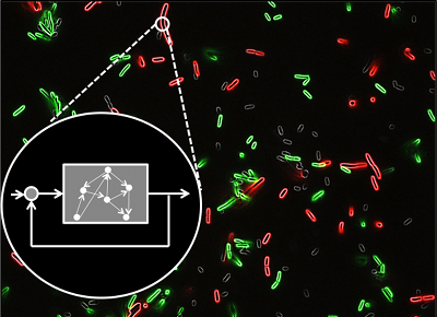 Biomolecular Networks Lab