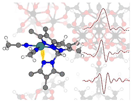 Pd scorpionate MOF metaloligand