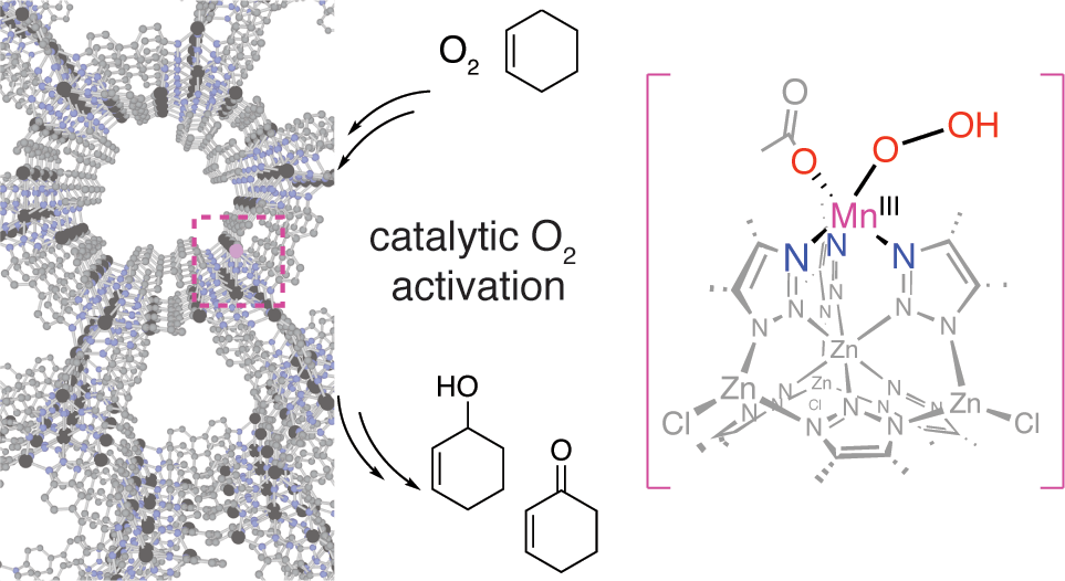 C-H bond oxidartion MOF Mn CFA-1