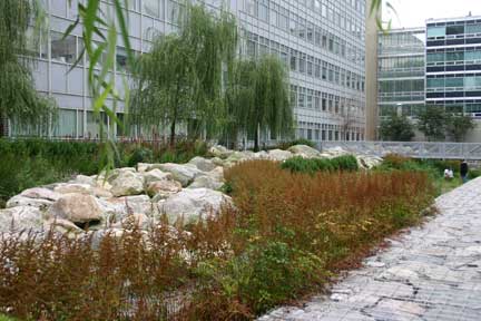 Stata Center swale in the fall