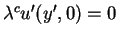 $\lambda^{c}u'(y',0) = 0$