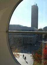 Green building through window