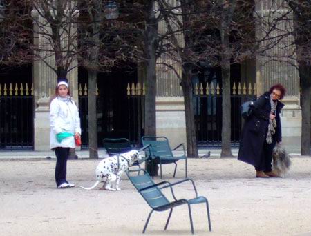 Dogs in Jardin des Tuileries