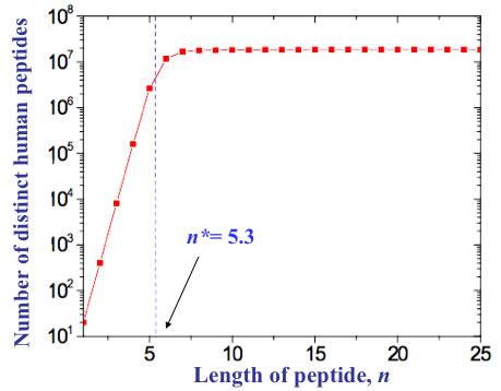 Human Peptides