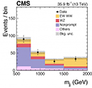 Vector-boson Scattering figure