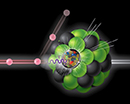 In an Electron-Ion Collider, a beam of electrons (e-)