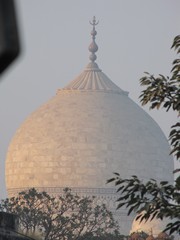 Agra215_TajMahal_Closeups