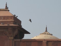 Agra388_VatehpurSikri