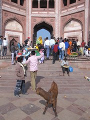 Agra521_JamiMasjid