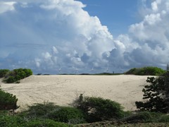 SandDunes - Honeymoon ParksAruba - Dec'10