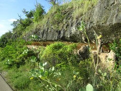 WesternCoast - Honeymoon ParksBonaire - Dec'10