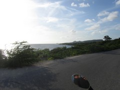 WesternCoast - Honeymoon ParksBonaire - Dec'10