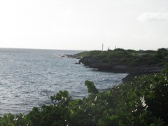 WesternCoast - Honeymoon ParksBonaire - Dec'10