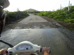 NationalPark - Honeymoon ParksBonaire - Dec'10