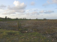 WindTurbines - Honeymoon ParksBonaire - Dec'10