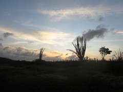 SunsetReturn - Honeymoon ParksBonaire - Dec'10