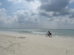 DesertedBeach - Honeymoon BikingAruba - Dec'10