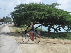 BushiriBeach - Honeymoon BikingAruba - Dec'10