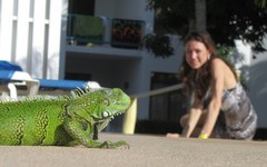 Honeymoon ResortsTheMill - Iguanas - Dec'10