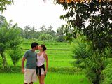 Ubud0047_RiceFields_AyungRiver