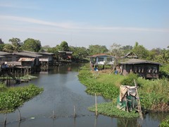 Ayutthaya158_RiceFields