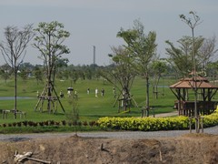 Ayutthaya208_RiceFields