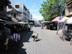 Ayutthaya263_Town