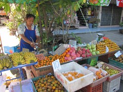 Ayutthaya264_Town