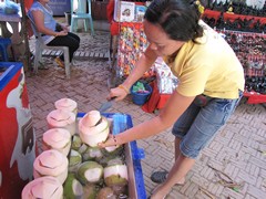 Ayutthaya282_Town