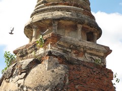 Ayutthaya398_WatMahathat_Prangs