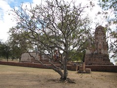 Ayutthaya418_WatMahathat_Prangs