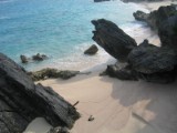 Bermuda08