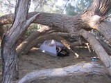 DeathValley0445_FurnaceCreekCamping