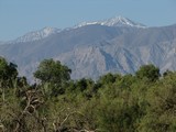 DeathValley0453_FurnaceCreekCamping