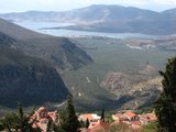 Delphi321_ViewPoint