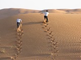 AlAin049_Desert